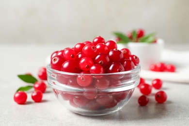 Fresh cranberry in bowl on light table