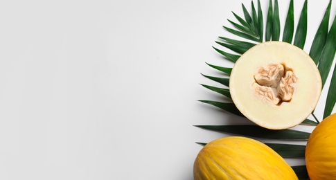 Composition with ripe tasty melon on white background, top view