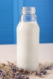 Bottle of tasty milk and lavender flowers on table against light blue wall, closeup