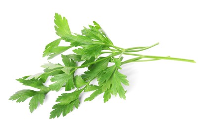 Photo of Sprigs of fresh green parsley leaves isolated on white