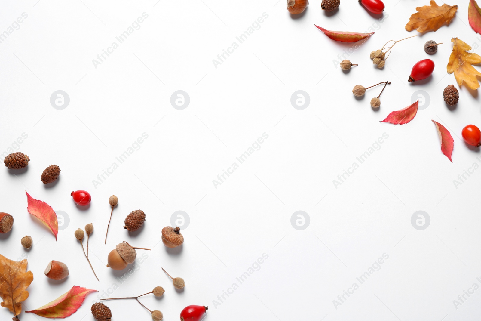 Photo of Beautiful composition with autumn leaves on white background, flat lay. Space for text