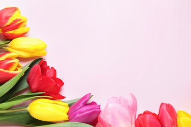 Photo of Beautiful spring tulips on pink background, flat lay. Space for text