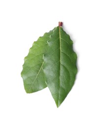 Fresh bay leaves isolated on white, top view