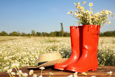 Photo of Red rubber boots with chamomiles and straw hat on wooden table in field
