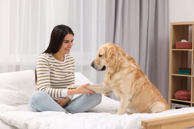 Photo of Cute Labrador Retriever giving paw to happy owner on bed at home