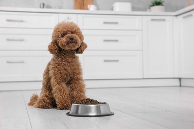 Photo of Cute Maltipoo dog near feeding bowl with dry food on floor in kitchen. Lovely pet