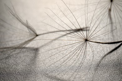 Photo of Seeds of dandelion flower on grey background, closeup