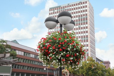 Photo of Beautiful view of modern buildings and flowers on lamp in city