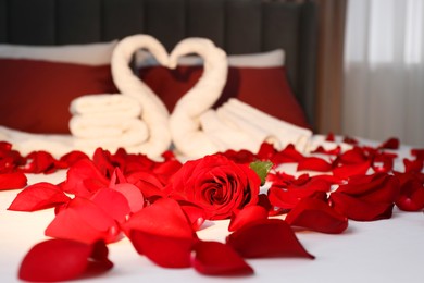 Honeymoon. Swans made with towels and beautiful rose petals on bed in room, selective focus