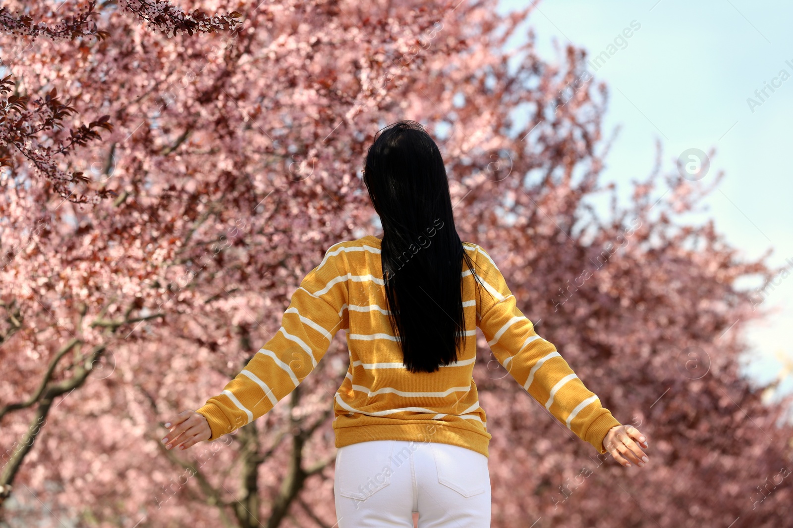 Photo of Young woman near beautiful blossoming trees outdoors, back view. Stylish spring look