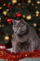 Photo of Cute cat with colorful tinsel near Christmas tree indoors