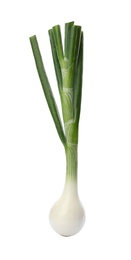 Photo of Fresh ripe green onion isolated on white