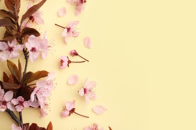 Spring tree branch with beautiful blossoms, flowers and petals on yellow background, flat lay. Space for text