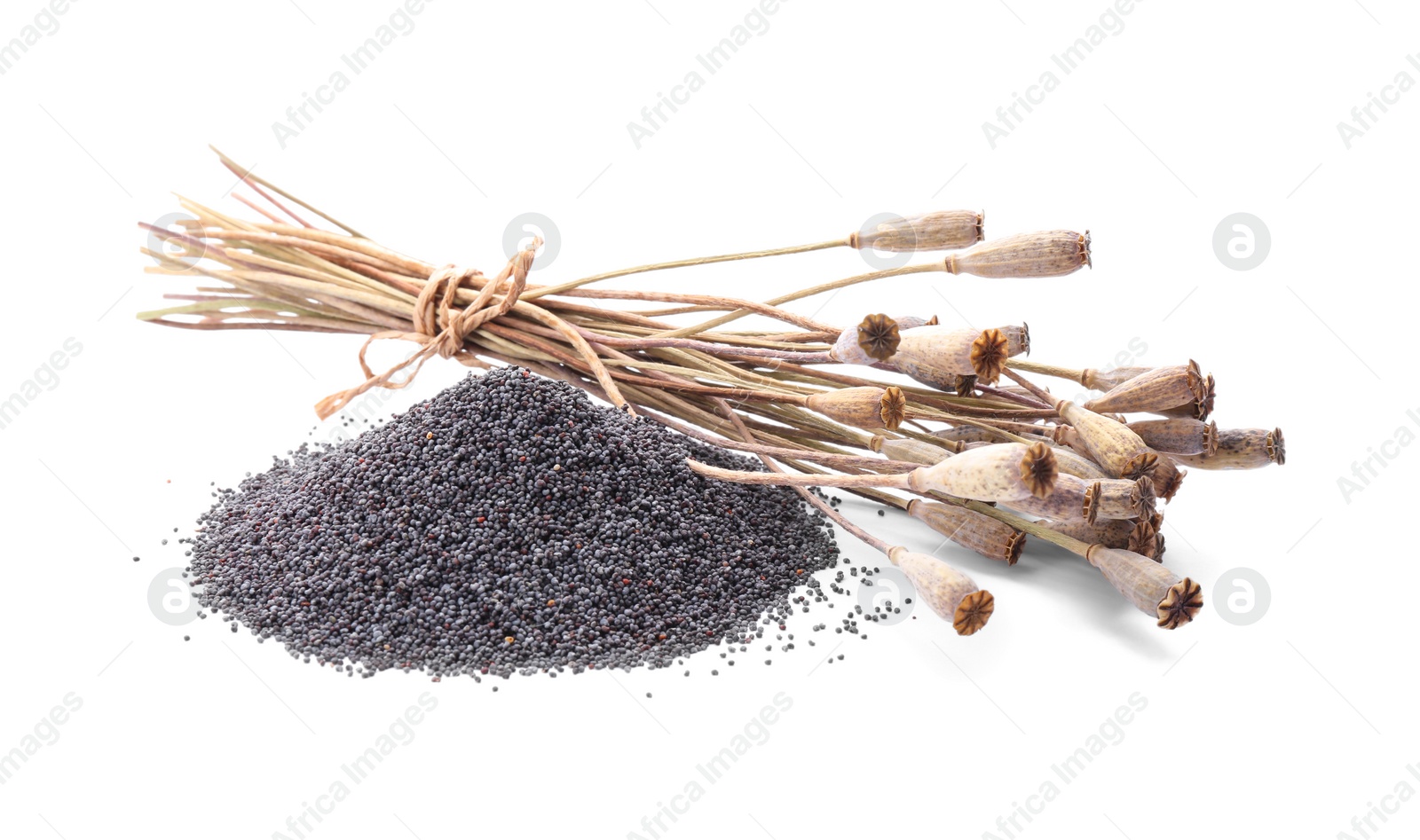 Photo of Dry poppyheads and pile of seeds on white background
