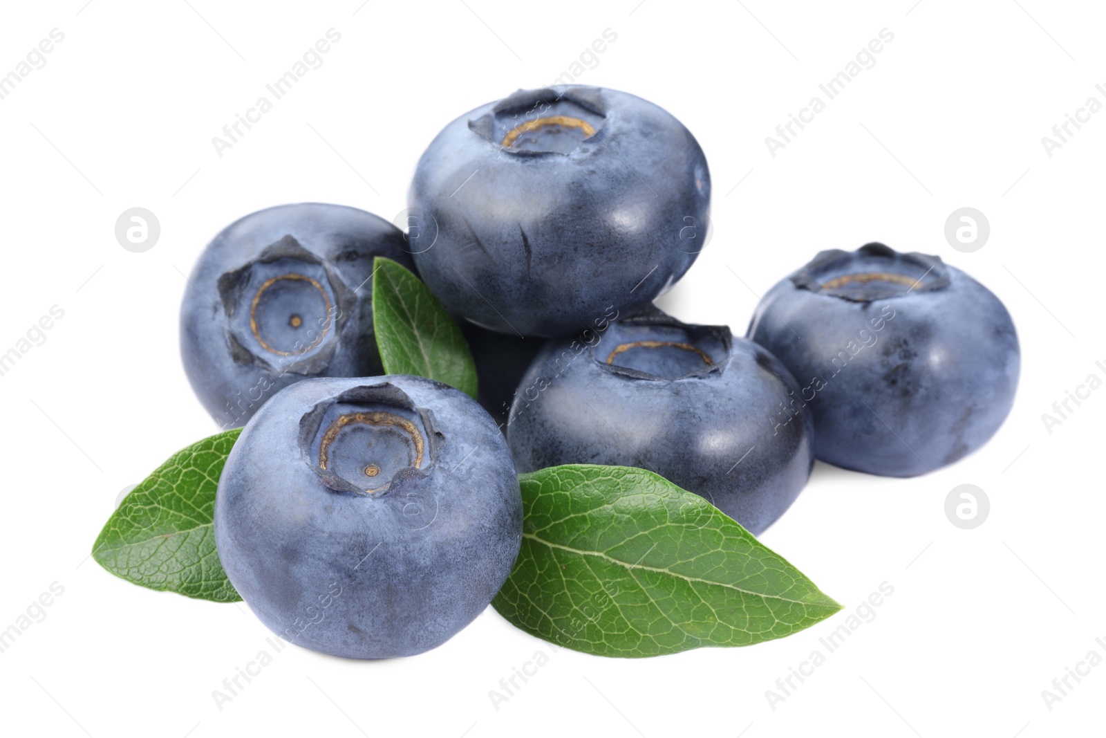 Photo of Many fresh ripe blueberries and leaves isolated on white