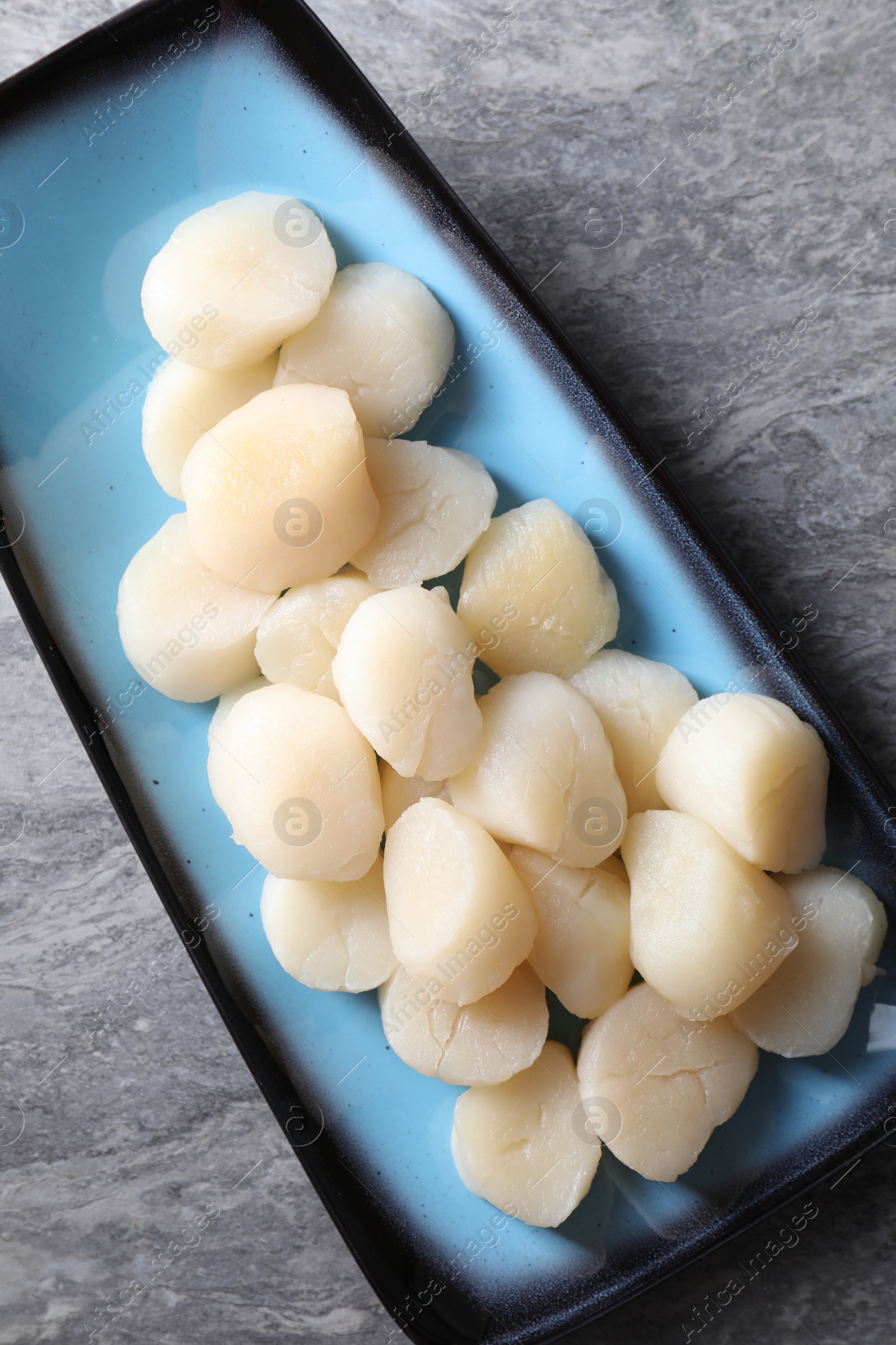 Photo of Fresh raw scallops on grey table, top view