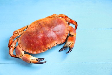 Photo of Delicious boiled crab on light blue wooden table. Space for text