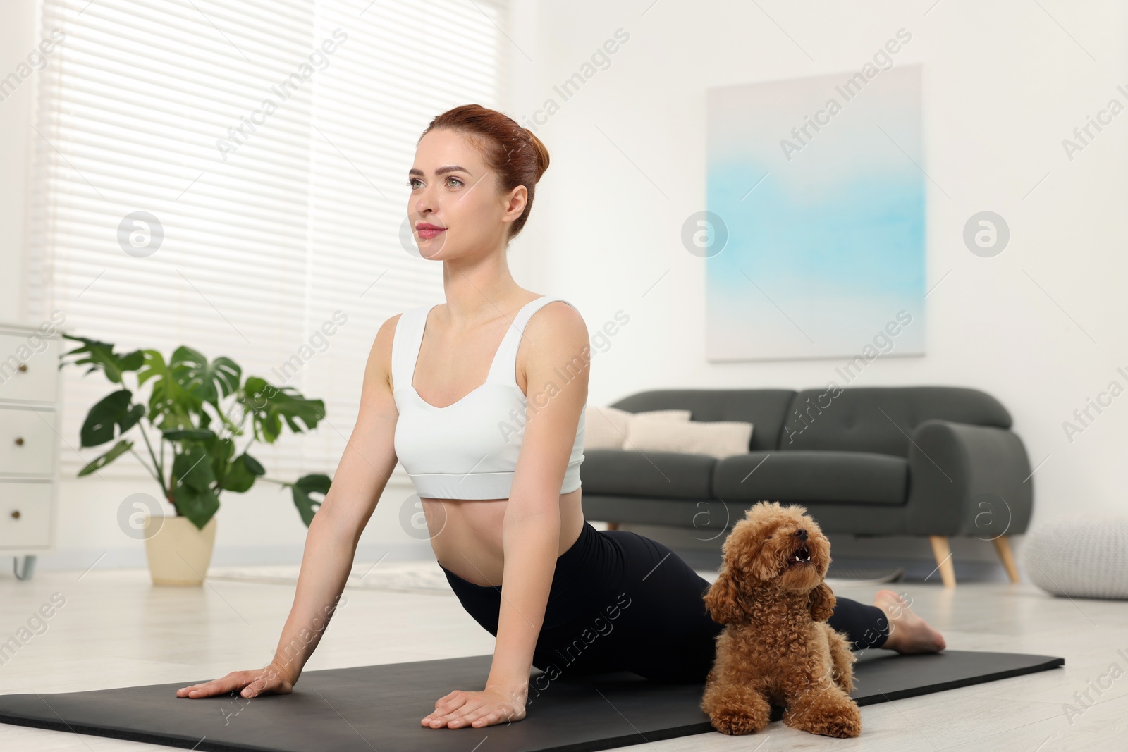 Photo of Young woman practicing yoga on mat with her cute dog at home