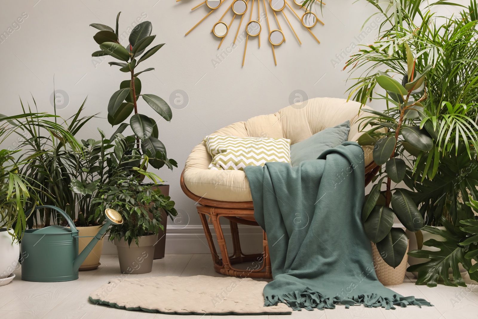 Photo of Lounge area interior with comfortable papasan chair and houseplants