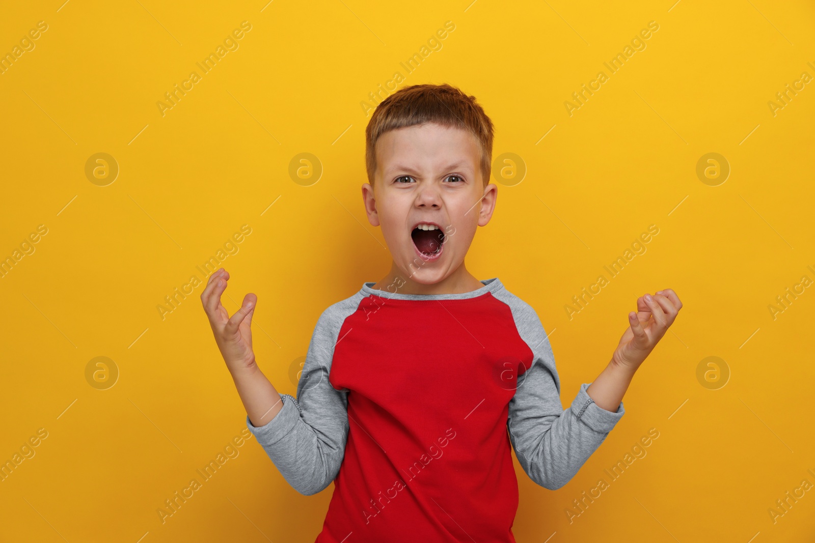 Photo of Angry little boy screaming on yellow background. Aggressive behavior