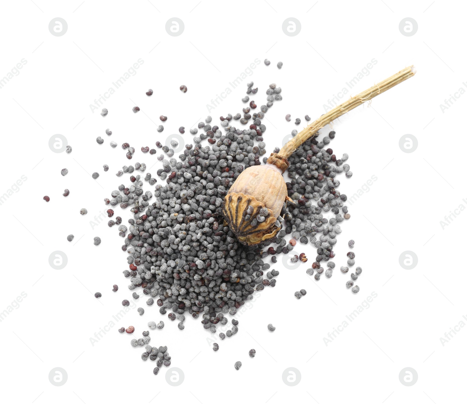 Photo of Dried poppyhead and seeds on white background