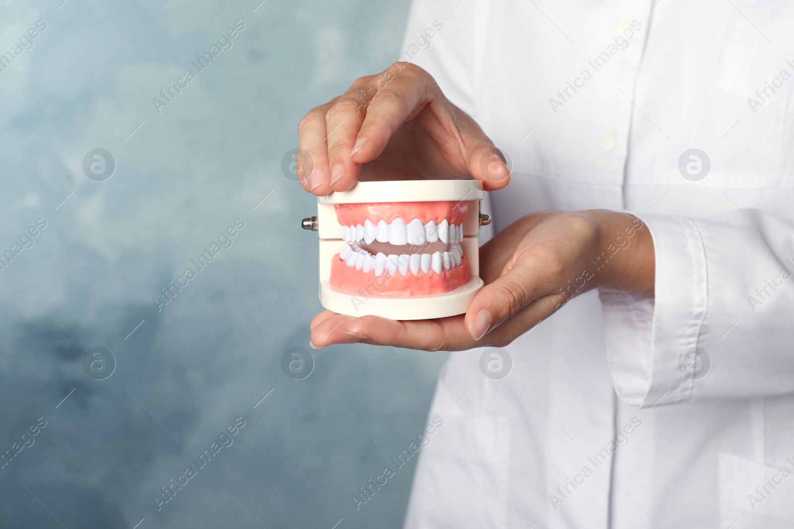 Photo of Dentist holding typodont teeth on light blue background, closeup. Space for text