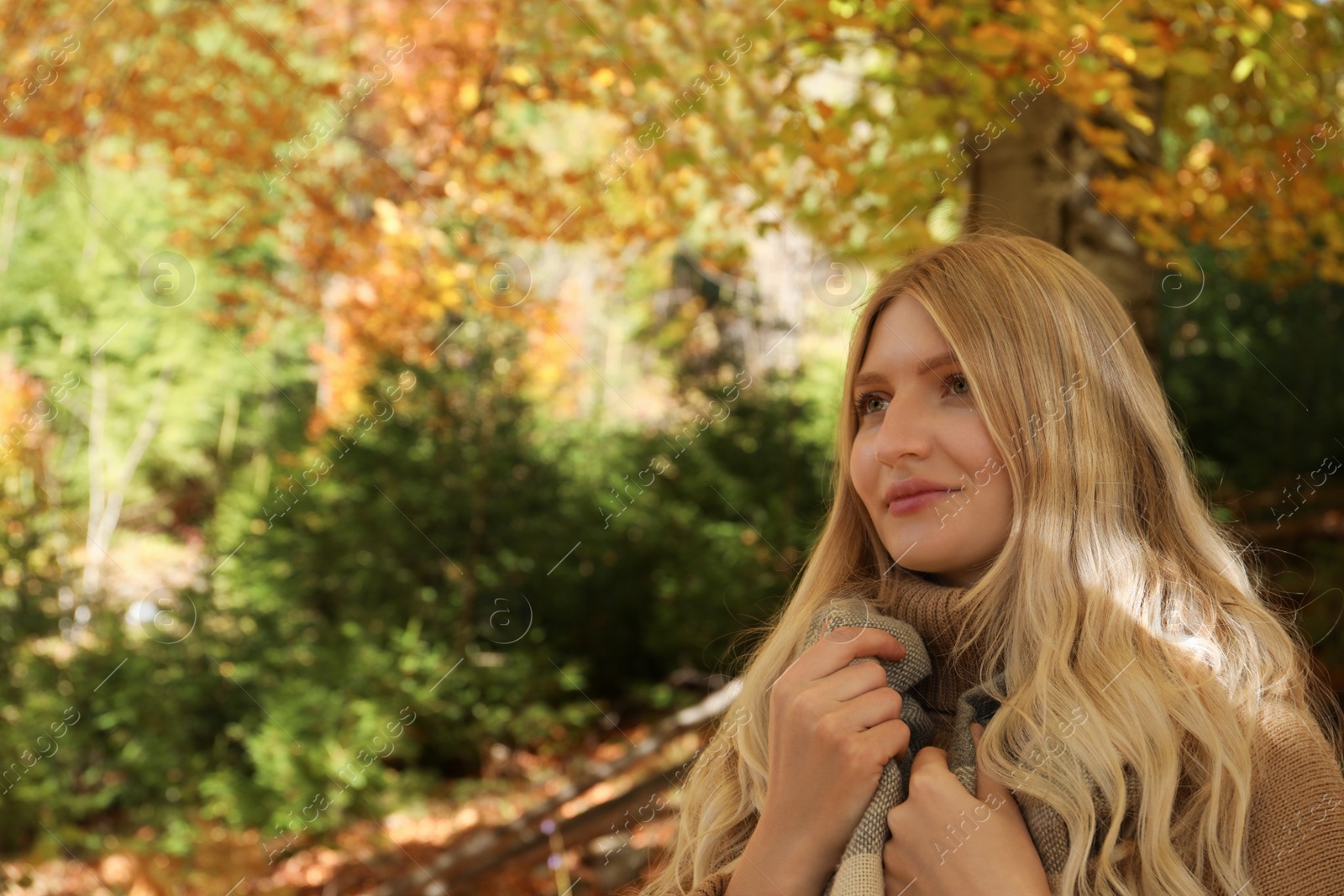 Photo of Portrait of beautiful young woman in autumn forest. Space for text