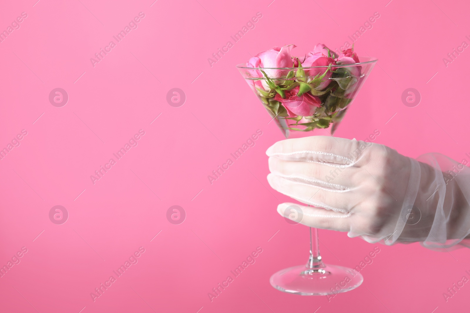 Photo of Woman in elegant gloves holding beautiful martini glass with water and roses on pink background, closeup. Space for text