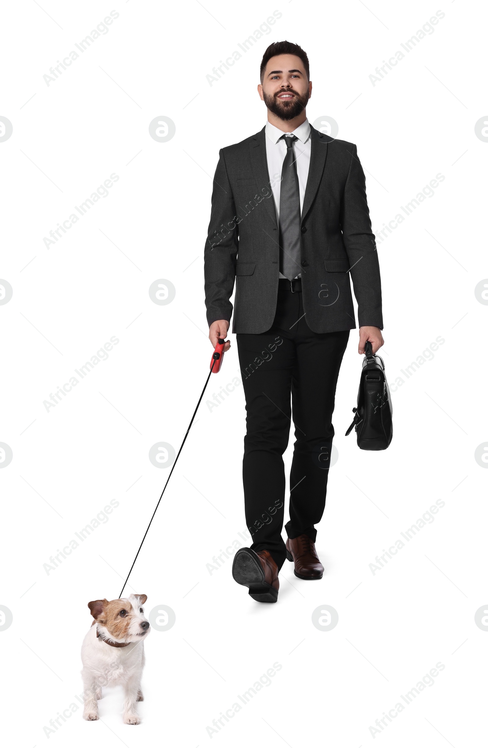 Image of Smiling businessman walking with dog on white background