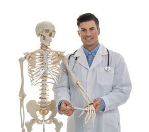 Male orthopedist with human skeleton model on white background