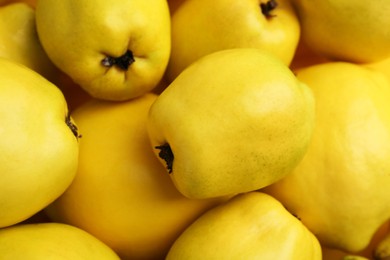 Photo of Delicious ripe quinces as background, closeup view