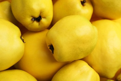 Delicious ripe quinces as background, closeup view