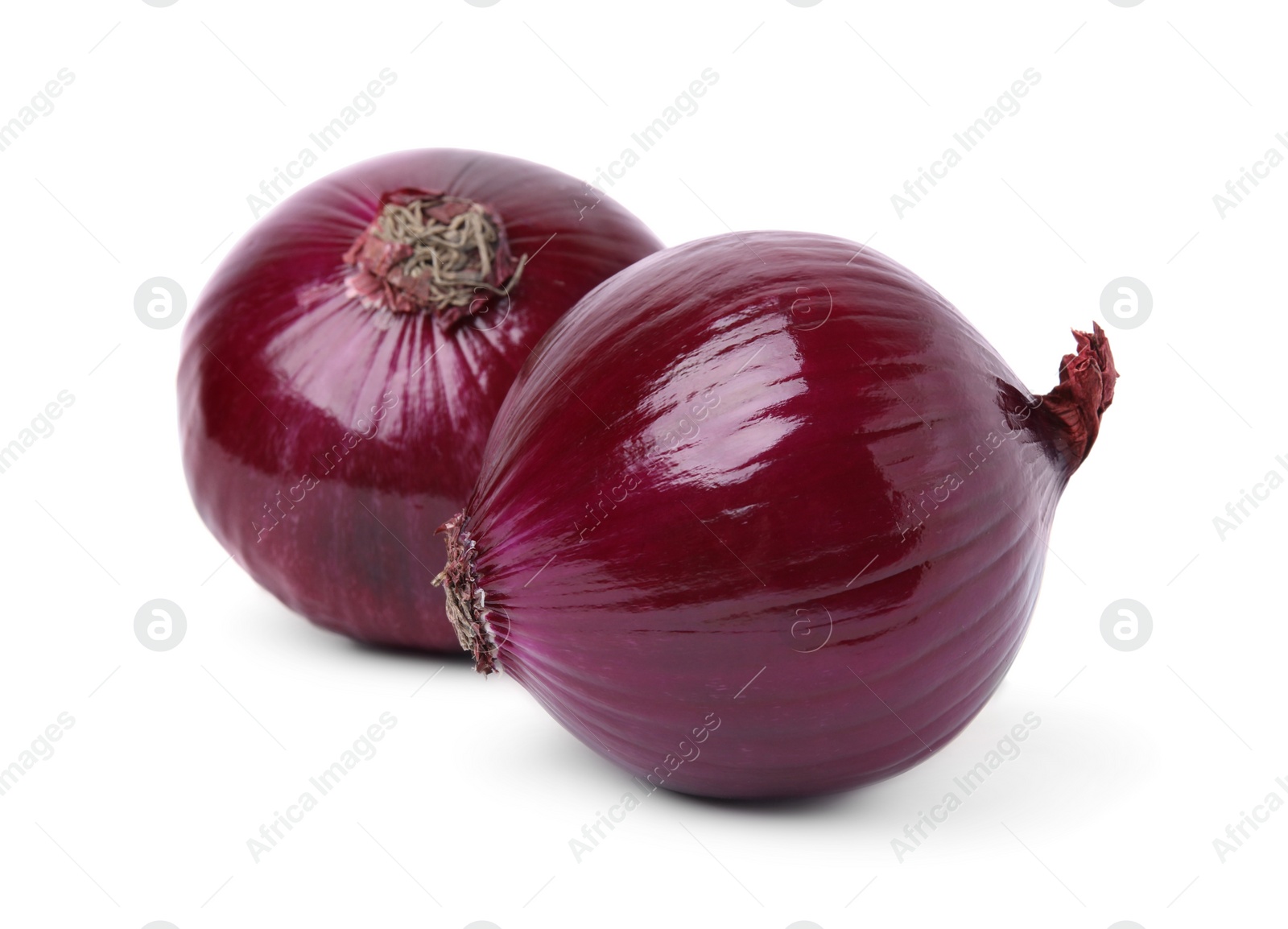 Photo of Two fresh red onions on white background