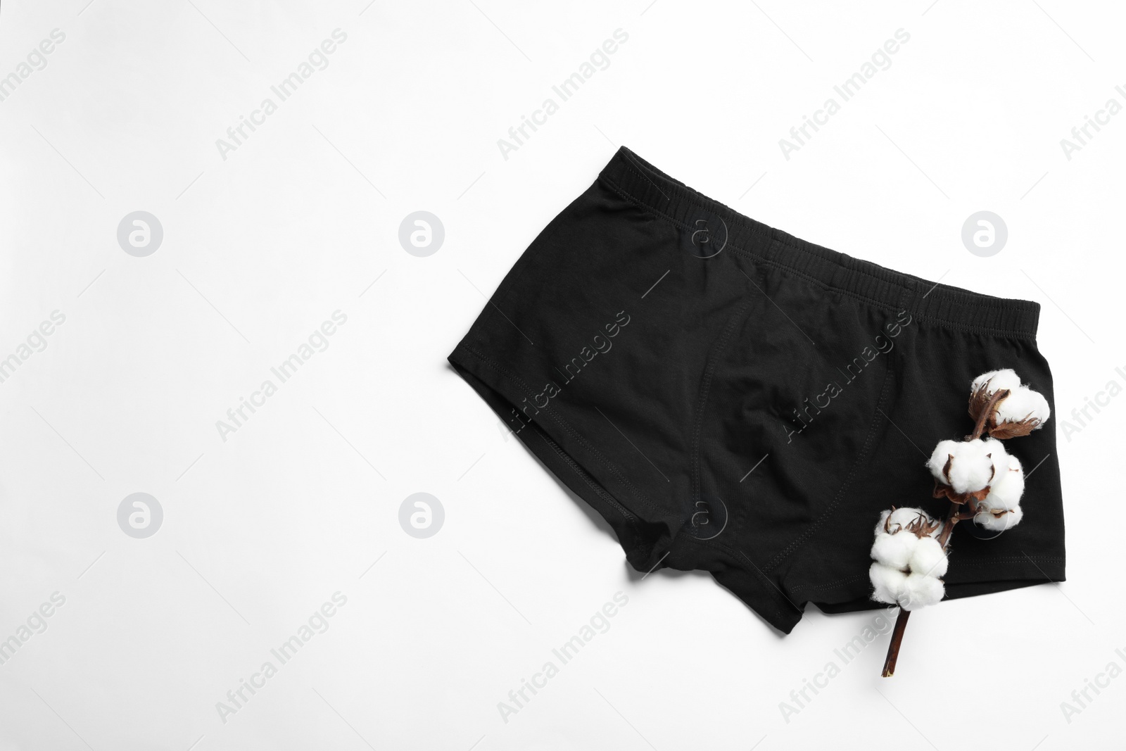 Photo of Comfortable men's underwear and cotton flowers on light background, top view