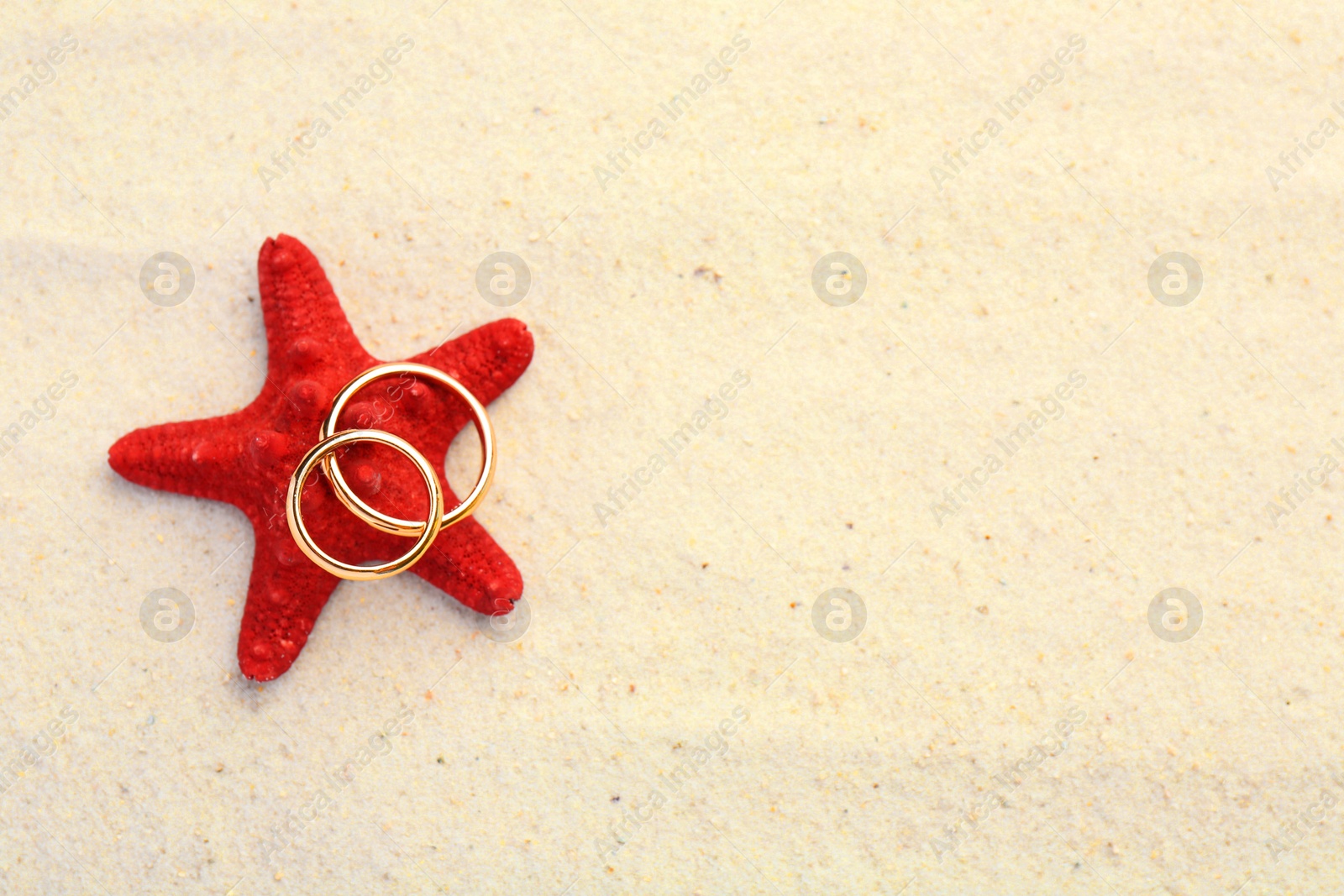 Photo of Honeymoon concept. Two golden rings and sea star on sand, top view. Space for text