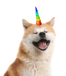 Image of Cute dog with rainbow unicorn horn on white background