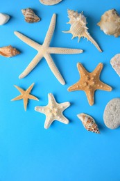 Photo of Many starfishes and shells on blue background, flat lay. Space for text