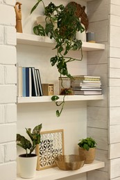 Beautiful green plants and books on shelves indoors. Interior design