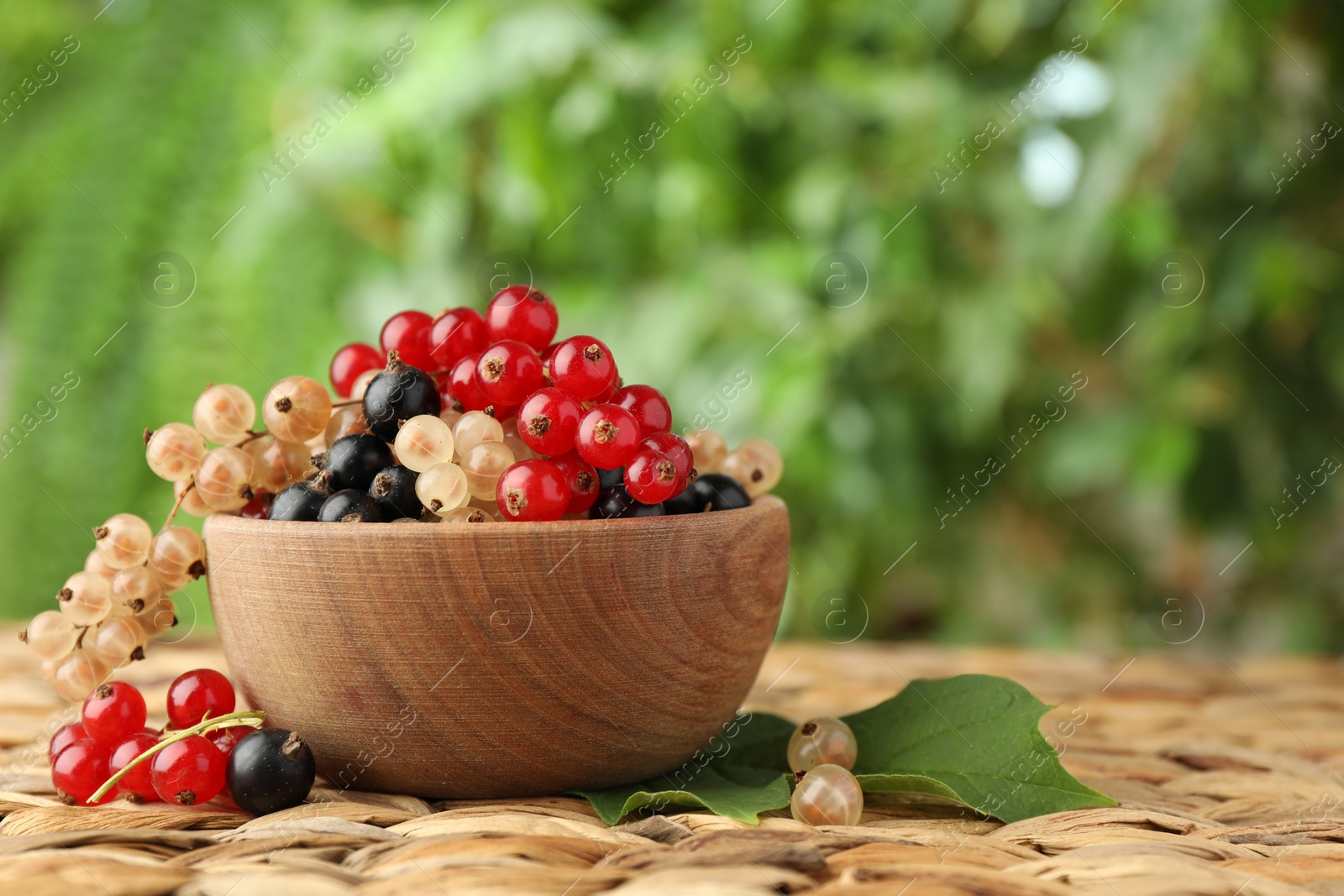 Photo of Different fresh ripe currants and green leaf on wicker surface outdoors, space for text