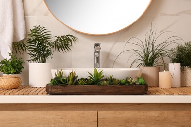Photo of Counter with sink and many different houseplants near white marble wall