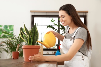 Photo of Young woman watering beautiful plant at home