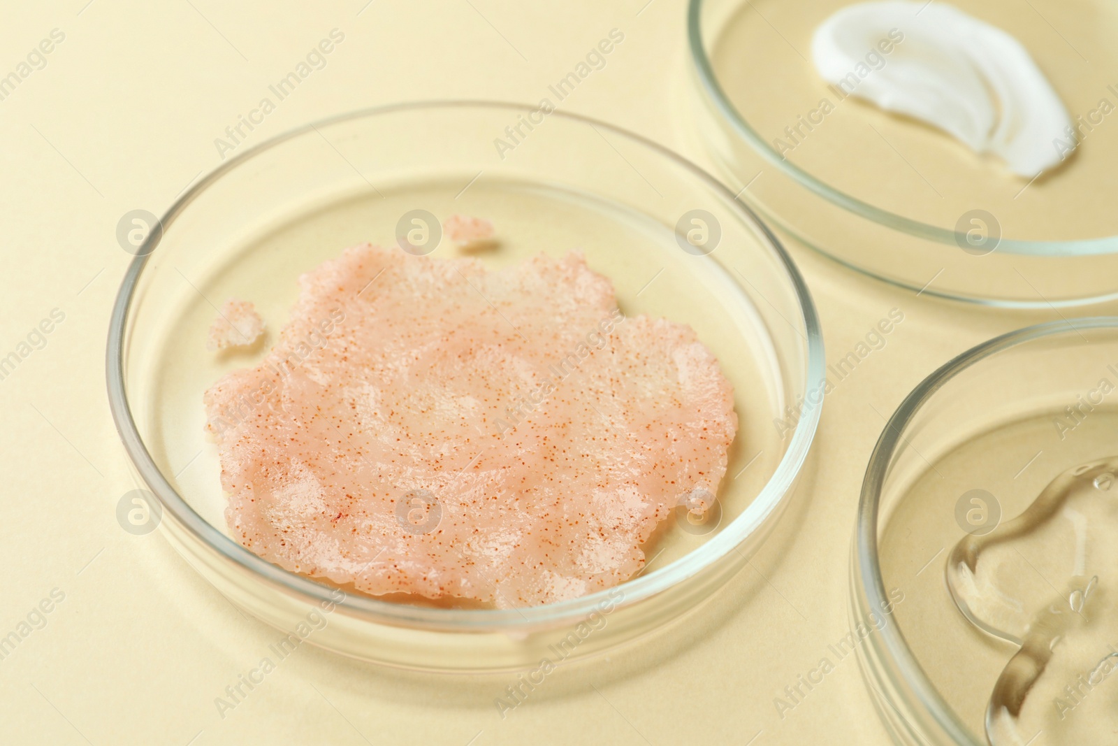 Photo of Many Petri dishes and cosmetic products on beige background, closeup