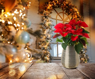 Image of Christmas traditional poinsettia flower on table in decorated room, space for text