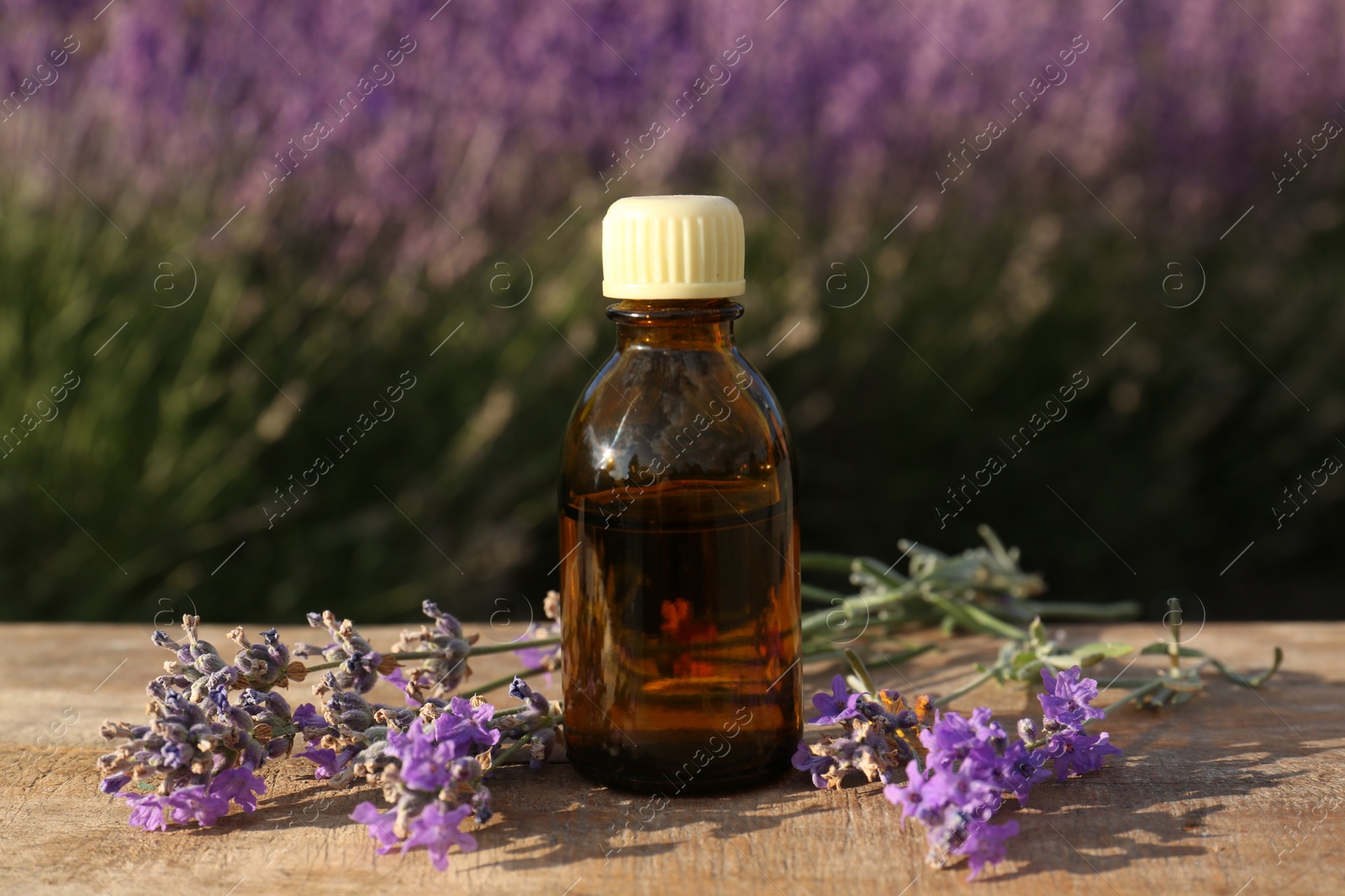 Photo of Bottle of natural lavender essential oil and flowers on wooden table outdoors