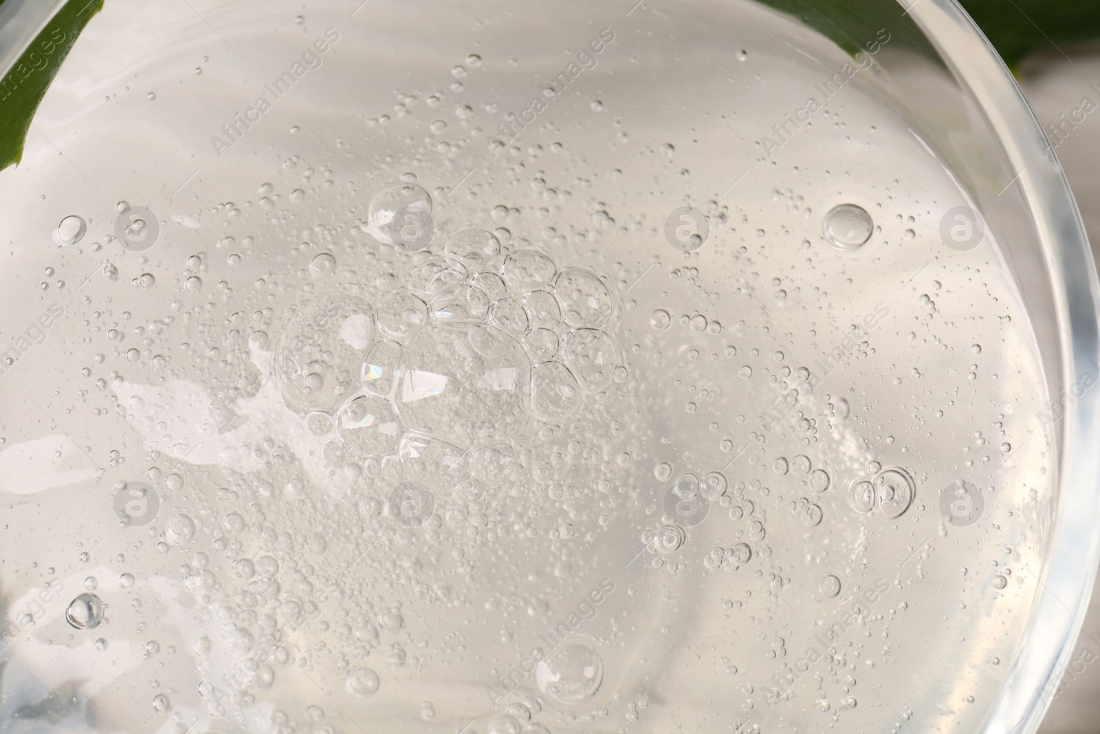 Photo of Natural aloe gel as background, closeup view