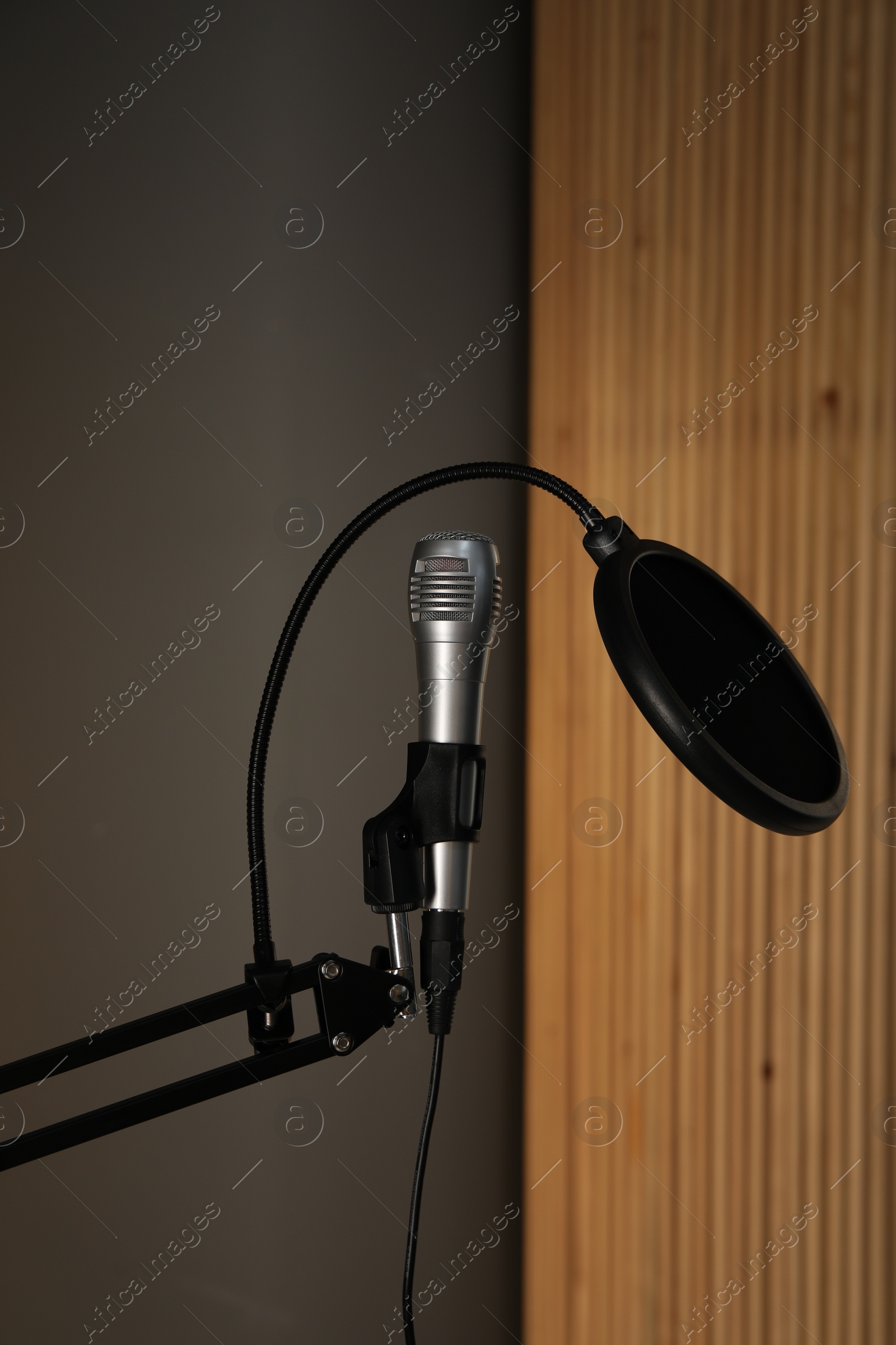 Photo of Stand with microphone and pop filter indoors. Sound recording and reinforcement
