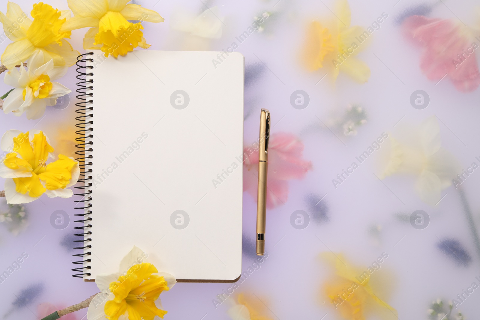 Photo of Guest list. Notebook, pen and daffodils on spring floral background, flat lay. Space for text