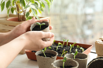 Woman holding pot with seedling indoors, closeup