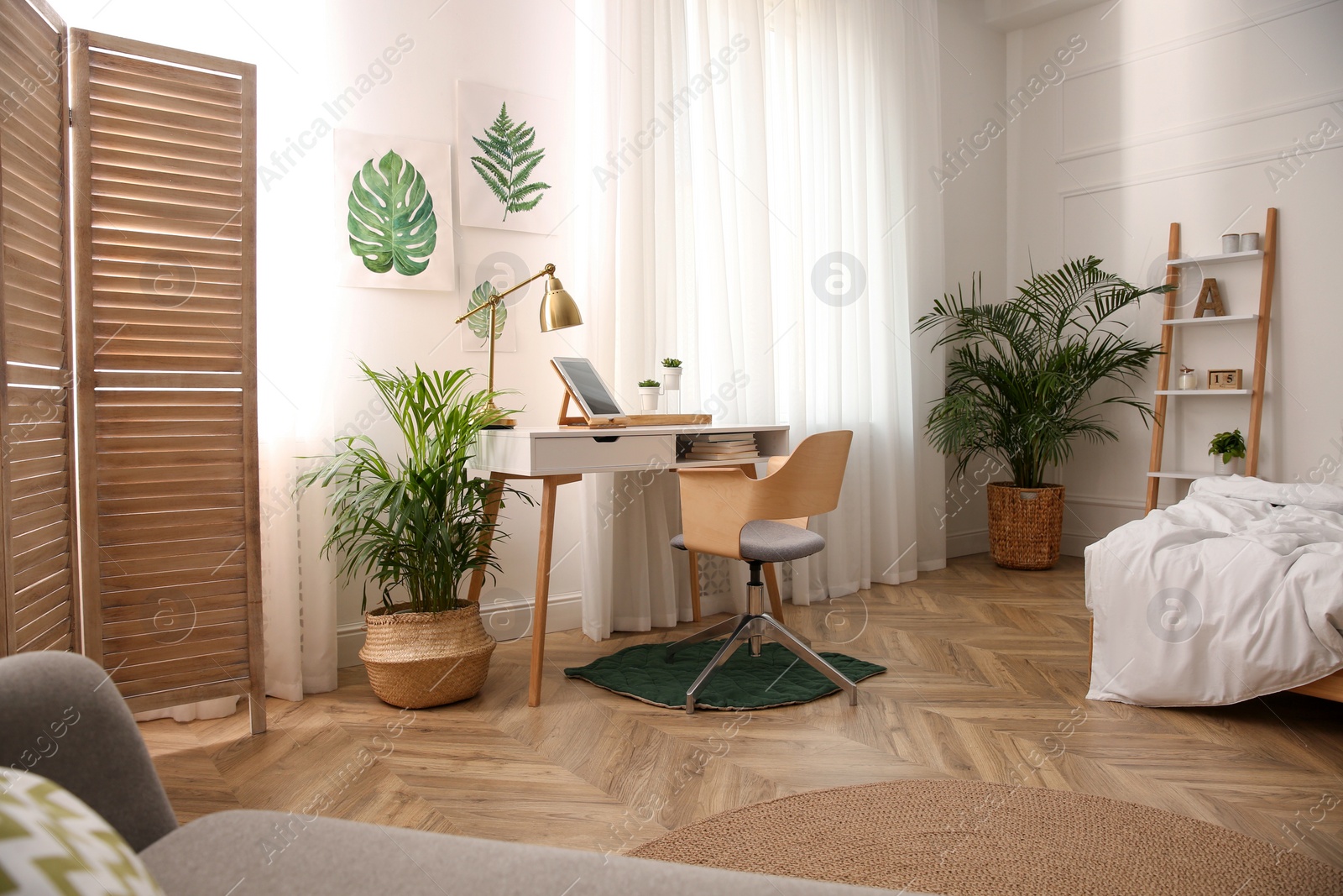 Photo of Beautiful fresh house plants near workplace in room