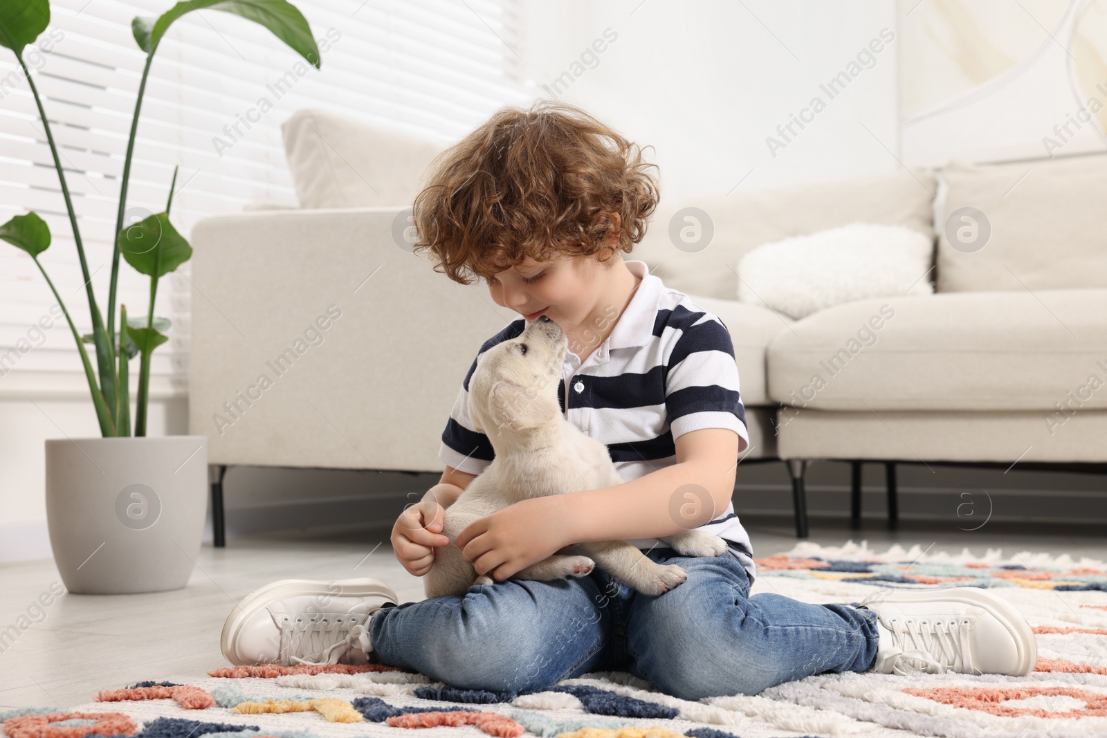 Photo of Little boy with cute puppy on carpet at home